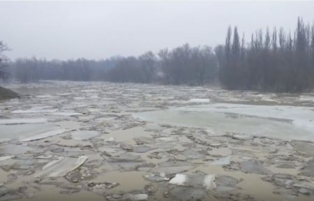 Льодохід із Закарпаття дістався й Угорщини - Тисою пливуть брили метрової товщини (ВІДЕО)