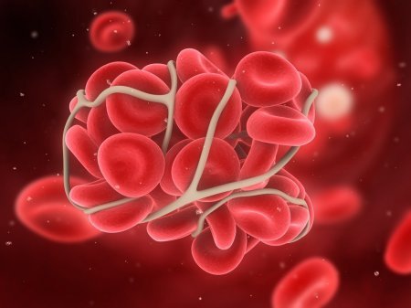 9 продуктів, які природним способом очищають артерії