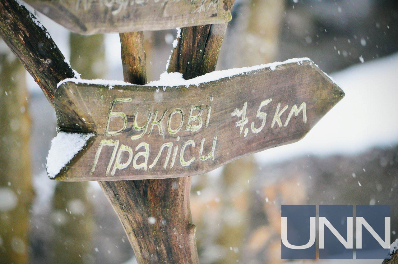 Ужанський національний природний парк: унікальне місце на кордоні трьох держав