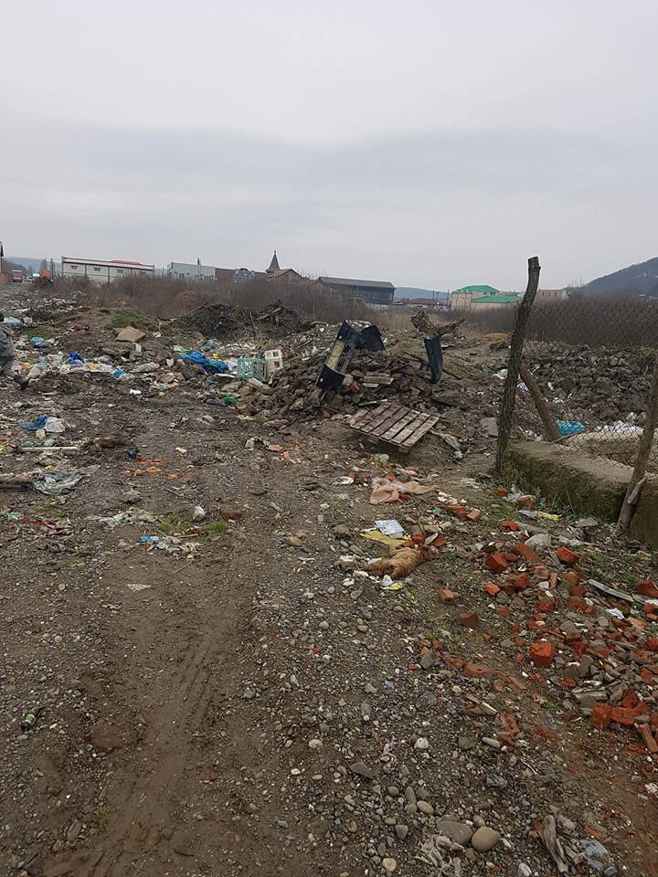 У Виноградові з вулиці зробили сміттєзвалище (ФОТО)