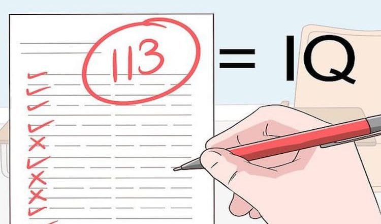 Тест IQ: що означають результати найвідомішого тесту на інтелект
