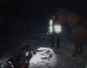 В Карпатах кобила допомогла патрульним врятувати п'яного власника, якого присипало снігом /Фто
