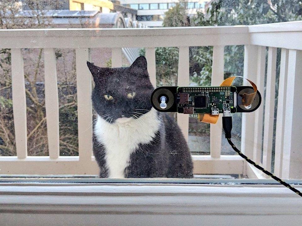 Житель Амстердама винайшов пристрій персонального фейс-контролю для кота