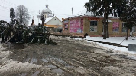 В Буштині у центрі впала ялинка! Рух перекрито (Фото)