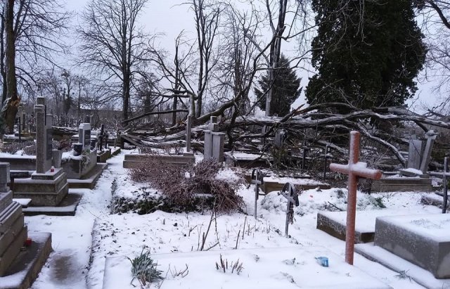 Повалені дерева та пошкоджені могили: стихія пошкодила цвинтар у Виноградові (ФОТО)