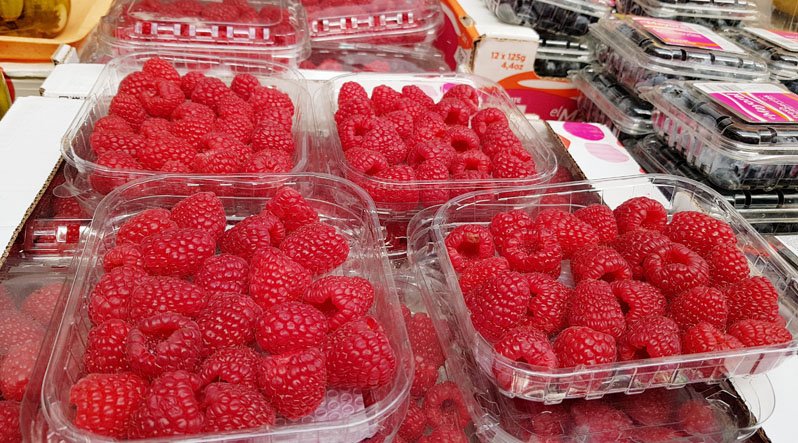 Відбірну свіжу малину вже продають в Ужгороді по 800 гривень