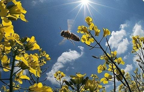 Прийде справжня весна: якими будуть вихідні на Великдень