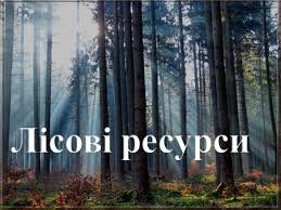 Про справляння у 2018 році рентної плати за спеціальне використання лісових ресурсів