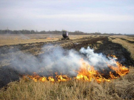Державна екологічна інспекція у Закарпатській області закликає всіх не спалювати суху рослинність та бути обережними при поводженні з вогнем