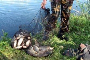 Закарпатська поліція полюватиме на бракон’єрів
