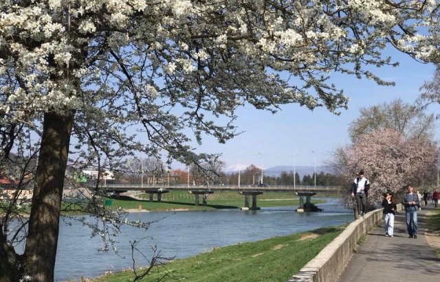 Весна на Закарпатті: Тиждень буде теплий та сонячний