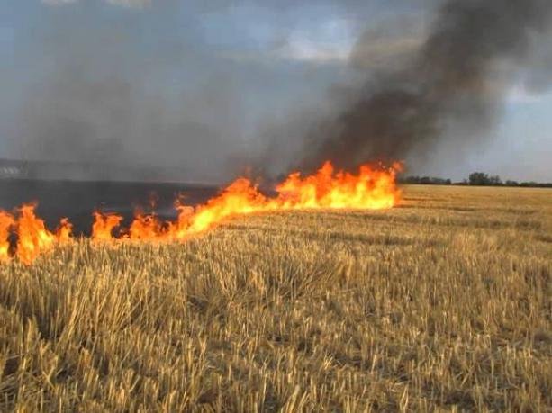 На Закарпатті підвищений рівень пожежної небезпеки