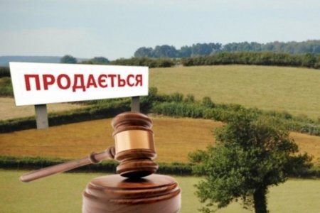 На Закарпатті виставили на торги 54 земельні ділянки