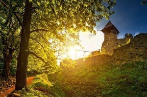Замки Закарпаття хочуть об’єднати в одному заповіднику