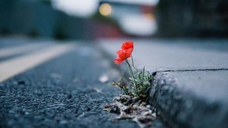 Як зміна прізвища впливає на долю, – закарпатський астролог