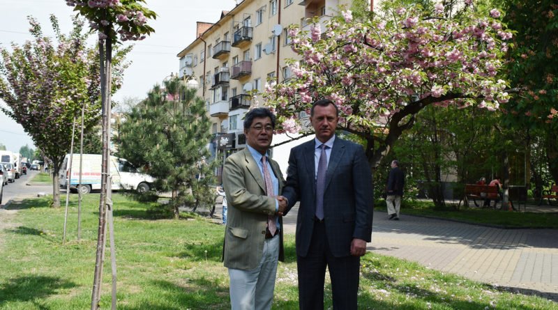 Помилуватися ужгородськими сакурами приїхав міністр-радник Посольства Японії в Україні