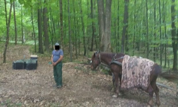 На Закарпатті прикордонники затримали контрабандистів, які перевозили сигарети в Румунію на конях