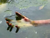 Під час відпочинку у штучній водоймі потонув житель Закарпаття