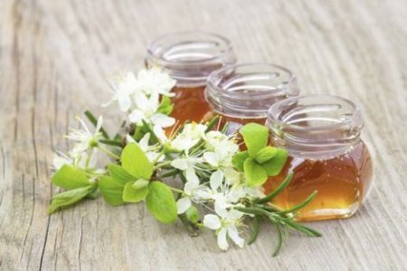 Медики розповіли, які хвороби лікують різні види меду