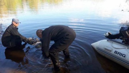 Страшна знахідка: на Виноградівщині в руслі р. Гаспарка виявили тіло людини