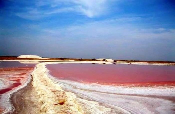 В Україні існує унікальне рожеве море (ФОТО)