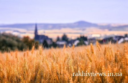 Народні прикмети на 29 липня – День Афіногена