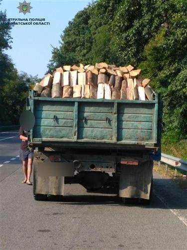 Патрульні затримали дві вантажівки з незаконною деревиною