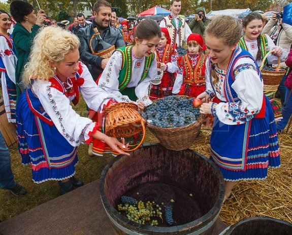 Триває підготовка до винного фестивалю, який відбудеться у селі на Мукачівщині