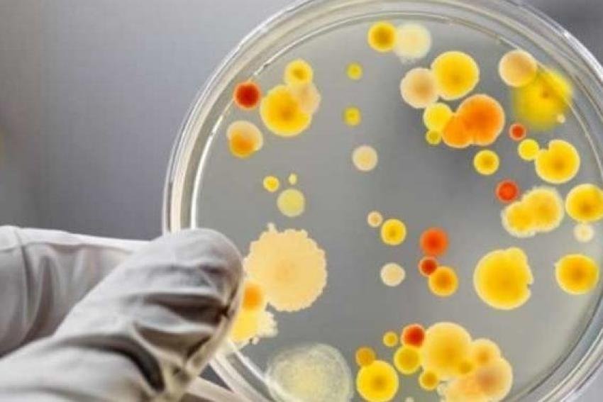МОЗ про причини харчових отруєнь та профілактику небезпечних хвороб і станів