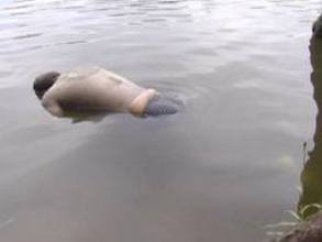 В Ужгороді втопився чоловік