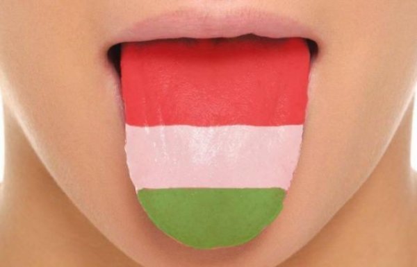 Попит на вивчення угорської мови на Закарпатті вищий, ніж англійської