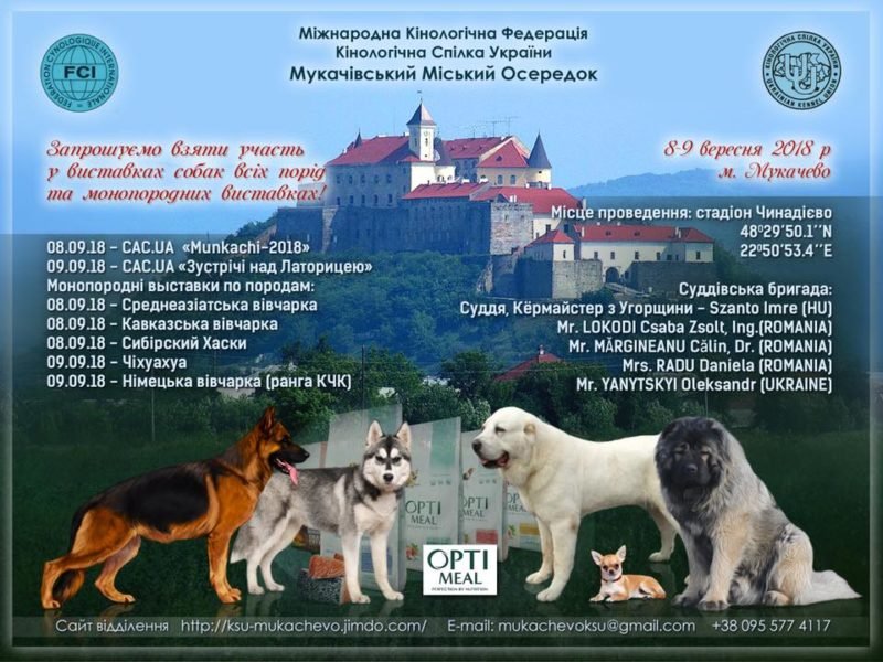 У Мукачеві відбудеться масштабна дводенна виставка собак