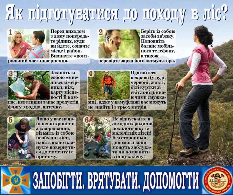 Як правильно підготуватися до прогулянки в лісі?