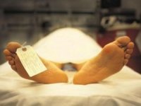 У Мукачеві на вулиці перехожий виявив труп жінки