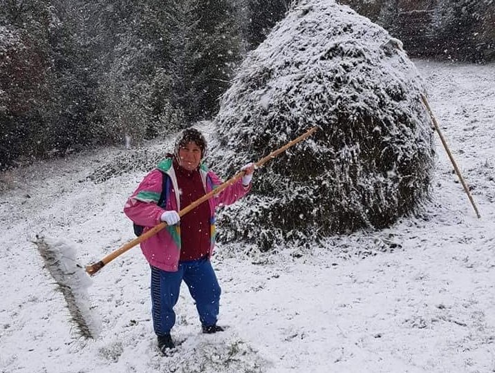 Вереснева зима: в Румунії селяни збирають врожай з-під снігу (фото)