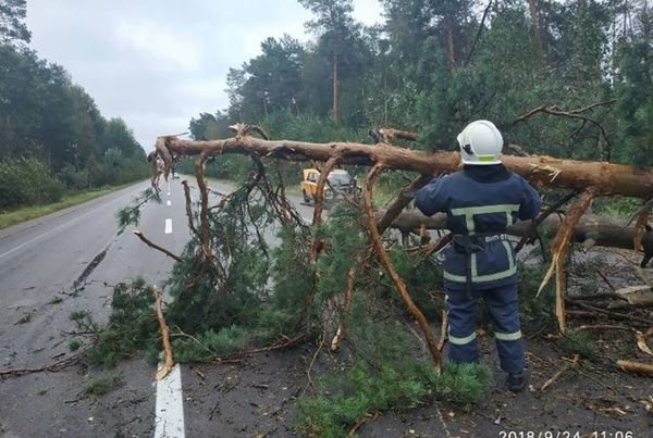 Наслідки негоди в Україні: вітер ламав балкони і зносив дерева, загинув чоловік