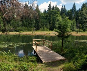 Краса Дикого озера (ФОТО)