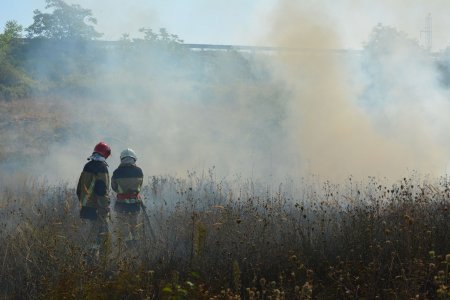Рятувальники Закарпаття закликають не палити сухостій та опале листя