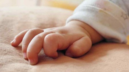 “Відгриз вуха і пальці”: Собака мало не вбив дитину, поки батьки спали