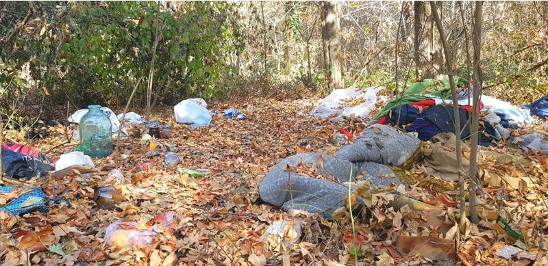 В Ужгороді в парку знайдено дике лігво відлюдників