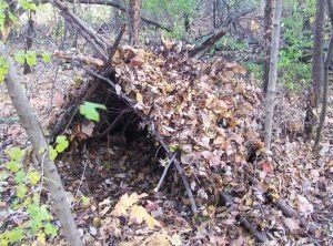 Пішли по гриби і замерзли: в лісі у власноруч збудованому шалаші знайшли тіла матері та сина