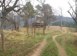 На Закарпатті є село, яке покинули усі жителі (фото)