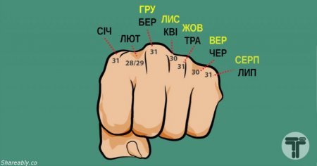 11 дуже корисних трюків, і тільки деяких з них нас навчили в школі