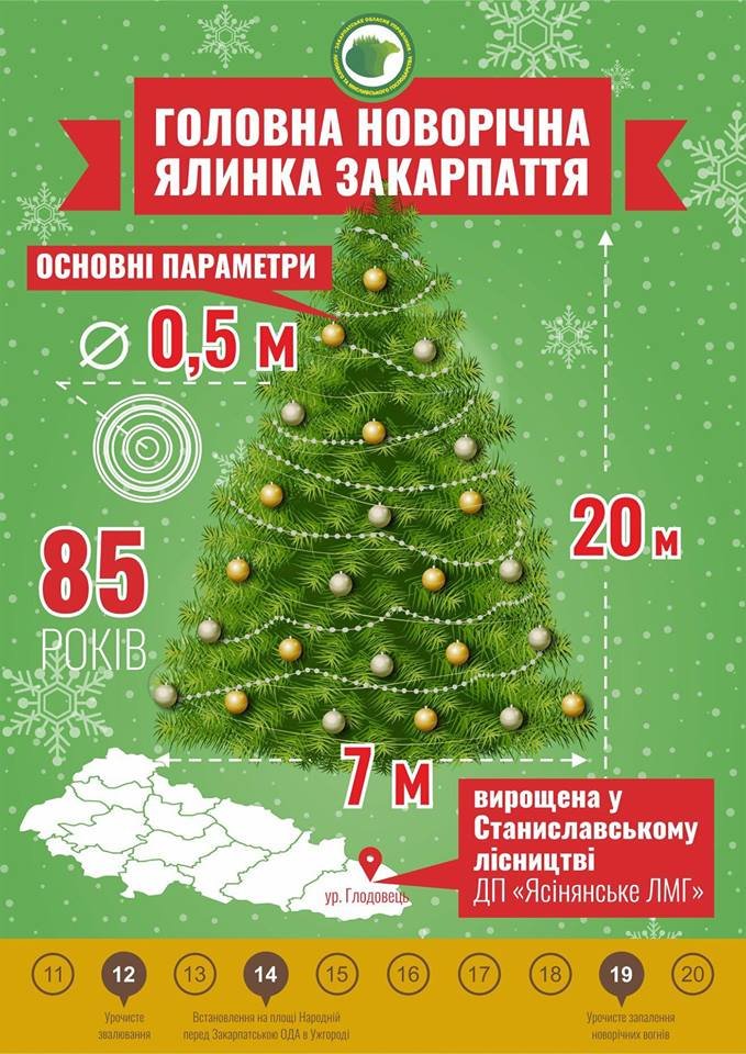 Головна ялинка Закарпаття - родом із Рахівщини