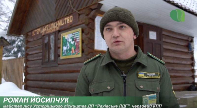 Шпилькові насадження на Рахівщині під надійною охороною (ВІДЕО)