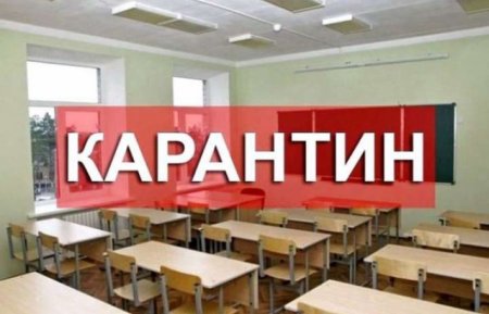 Школи Великоберезнянщини закрили на карантин