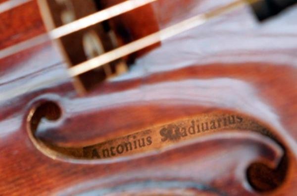 На Закарпатті є деревина, з якої виготовляли унікальні скрипки "Страдіварі"