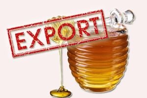 Стало відомо, у які країни експортується найбільше закарпатського меду