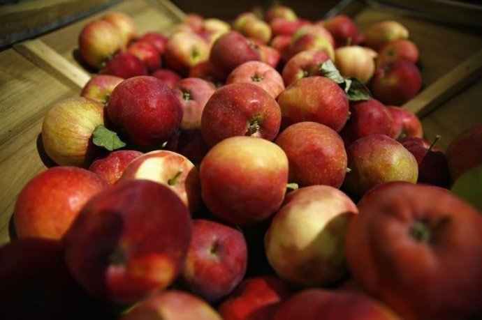 Україна збільшила експорт яблук в Європу в 9 разів