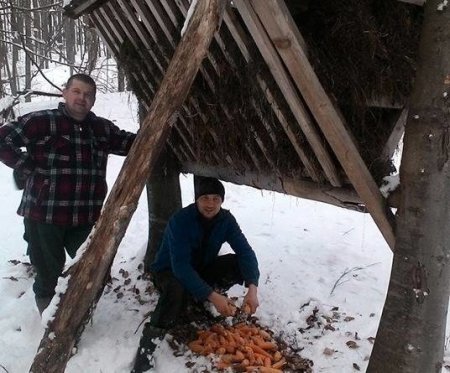 На Рахівщині в люті морози мисливці підгодовують диких тварин (фото)